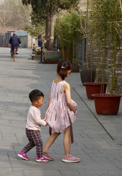 有兄弟姐妹的小朋友，平时多了玩伴也多了烦恼。北京东城区一胡同里，一个小男孩追着姐姐跑，小姑娘有点“嫌弃”。 笑槑/摄
