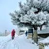 泰山下雪 宛若仙境