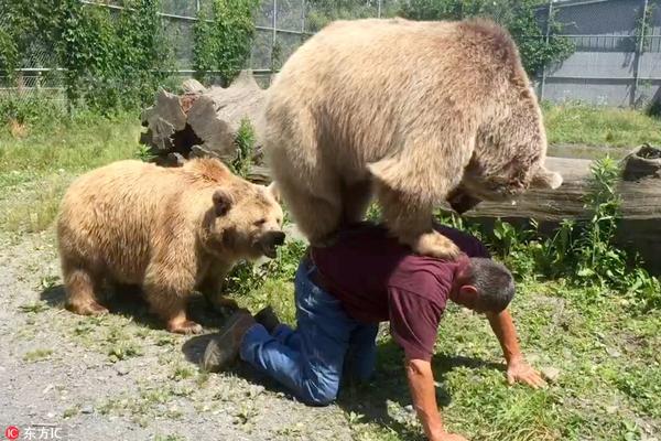 玉米直男什么梗