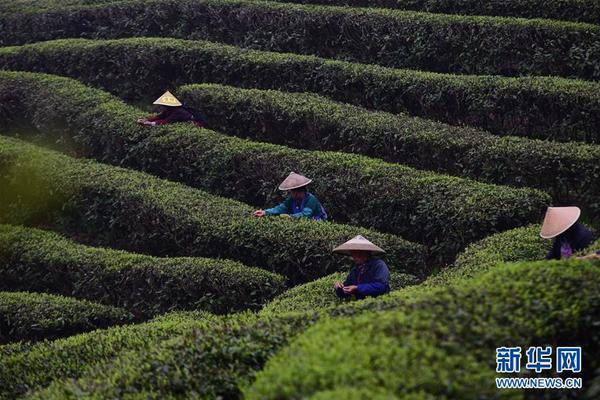 天津有助孕公司吗,5微刺激方案流程