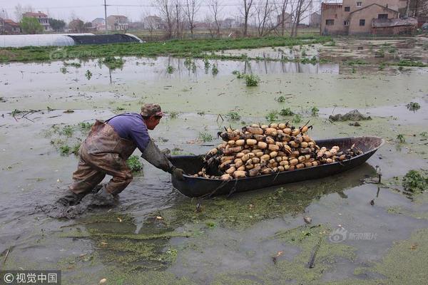 靈魂的封條：為什麼「版權所有，翻印必究」是這時代最後的溫柔？ 