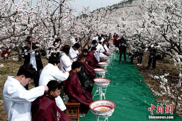 足协杯综合：广州富力、鲁能泰山如愿跻身八强