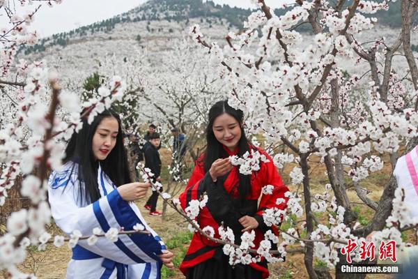 移植一个811武汉借卵生子到哪里做成功率