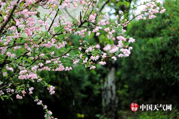 汶川地震後十年 救災扶貧創新成效顯著