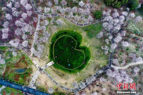 习近平总书记在深度贫困地区脱贫攻坚座谈会上的重要讲话引起强烈反响