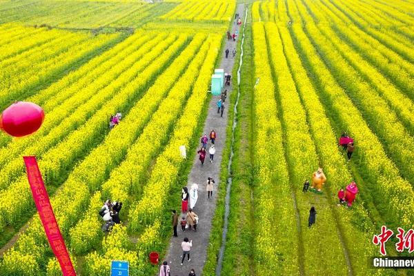 基于离子液体技术天然酚类物质的高效绿色制备（三）