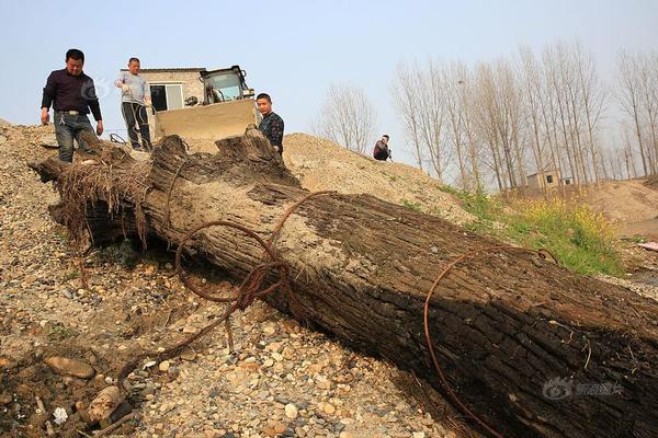 傲娇兔兔主播，网络视频内容大赏