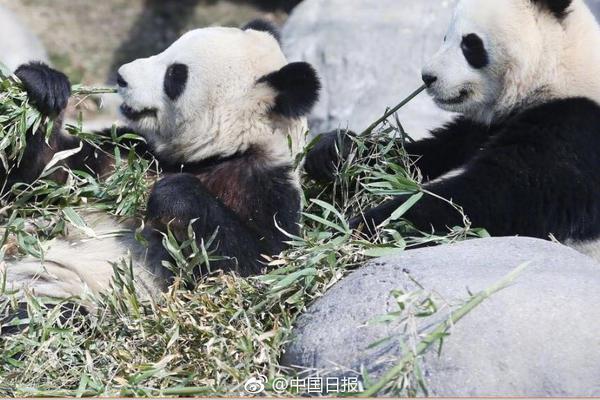 文化中国行·长江之歌丨一粒米的万年行旅