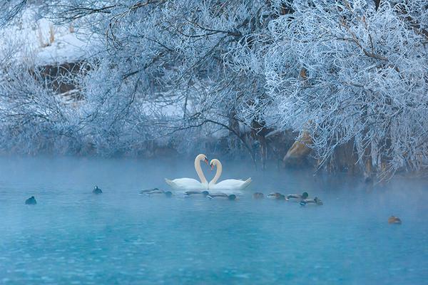 【財富心跳】六合彩Live：那一晚，全城為之屏息的9:30分傳奇 