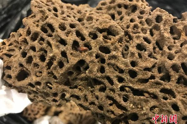 第二届“英才梦·湘天华杯”青少年诗书画大赛在长沙启动