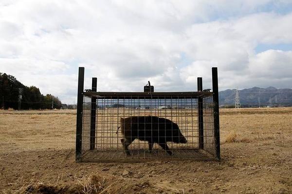 凤阳编创完成全国首套“凤阳花鼓工间课间操”