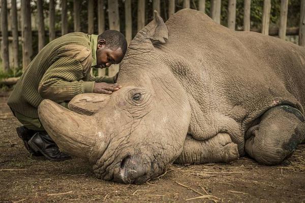 保罗·施拉德《噢，加拿大》入围戛纳主竞赛单元