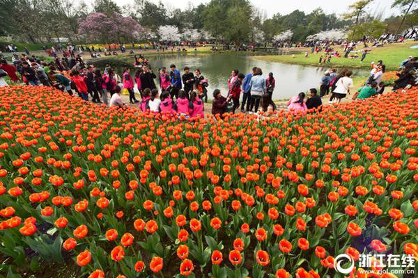 Исторический обзор: Классические моменты, когда мы смотрели None вместе