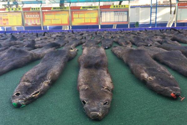 全国首次！消防常识进了合肥小学语文期末考试统考卷