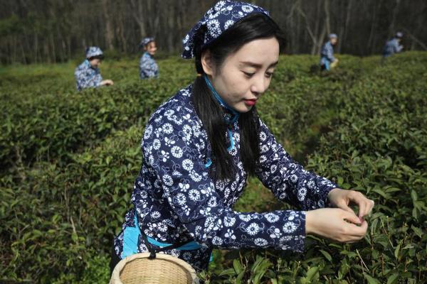 陆川：舞剧不能说话 增加旁白希望老少咸宜