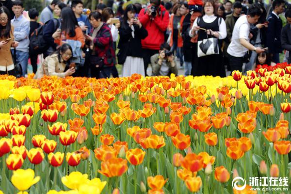 日职:横滨水手VS柏太阳神 横滨亚冠铩羽而归后如何调整？