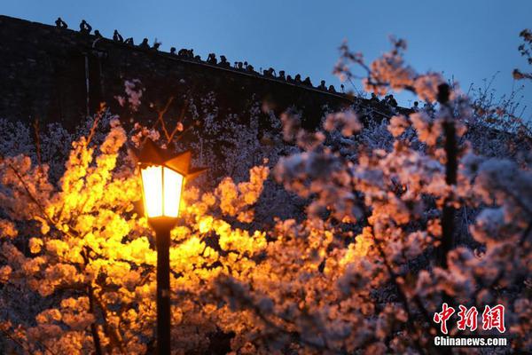 习近平同巴西联邦共和国总统举行会谈 两国元首一致同意推动中巴全面战略伙伴关系取得新的更大发展