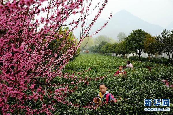 习近平总书记在深度贫困地区脱贫攻坚座谈会上的重要讲话引起强烈反响