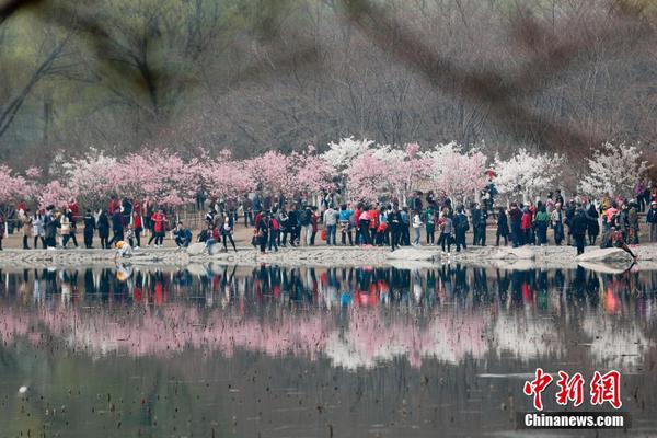 黄山西镇街挖出一条石板古街