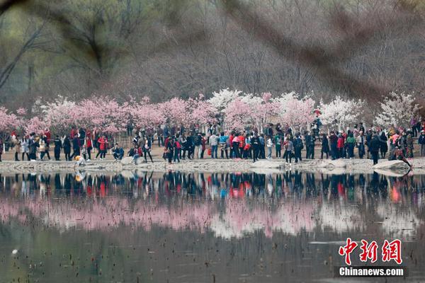 重庆供卵试管中心什么价格,染色体做哪些检查