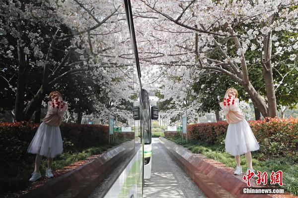 2025全年免费资料大全综合解答,与解释落实