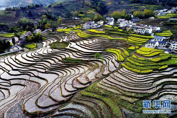 曝足协特意询问朱炯所骂是谁 申鑫回应因对球员态度不满