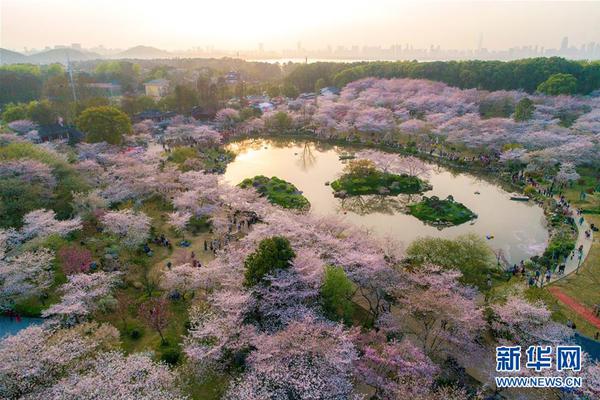 群众文化生活“遍地开花”