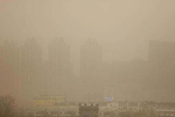 luluchu在线播放，探索免费观看与剧情盛宴