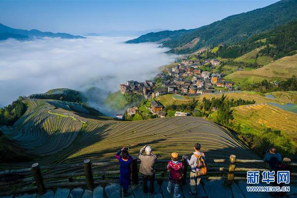 野山坡属于那个地区