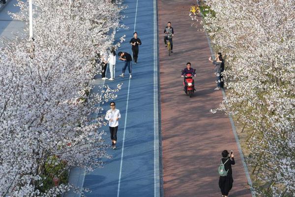 深圳网红神盘跌破2018年开盘价……