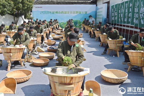 舞艺吧维拉定制官网，在线视频与剧情探索