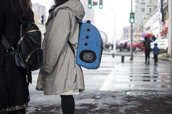  迅销集团对外宣布将对日本市场的薪酬架构进行全面调整