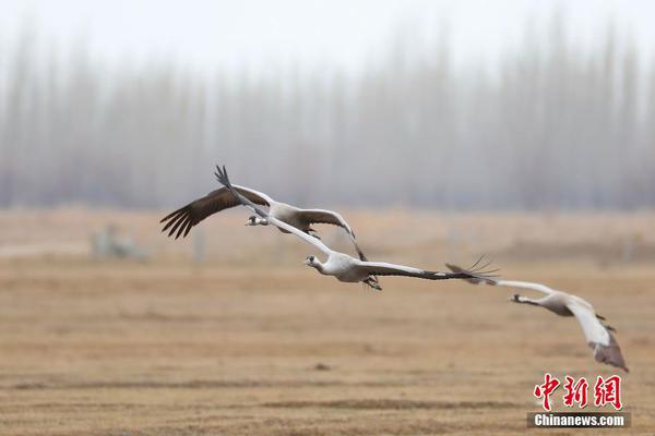 女主播直播暴雨 浑身湿透