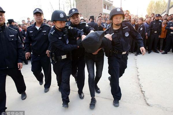 合肥市安庆路幼儿园 荣获庐阳区教育系统宣传 “最佳”