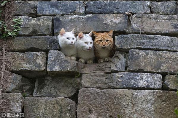 Watching Games All Night Without Harming Your Health: A Guide for None