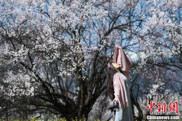 铜陵西联镇观兴村村民家中的“乡野文化棚”