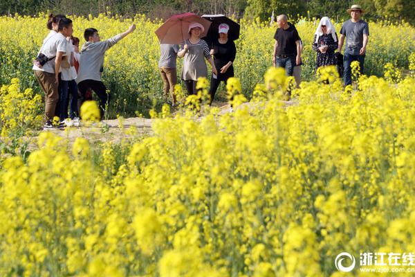 受大罢工影响 阿根廷航空取消4月30日所有航班