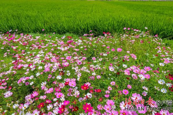 《神奇乐园历险记》收获好口碑 合家欢冒险动画获亲子观众青睐