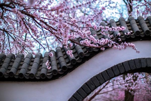 男明星是什么梗