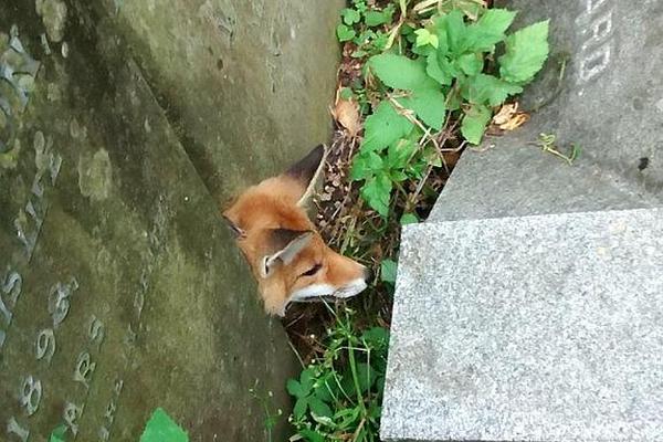 如何炒股才賺錢？給股市小白的三條忠告