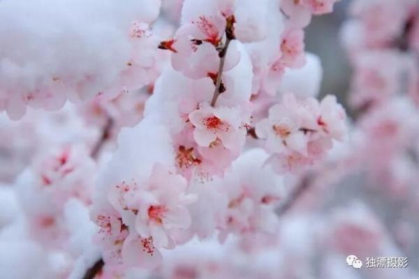 别人的十六岁，居然可以这样……