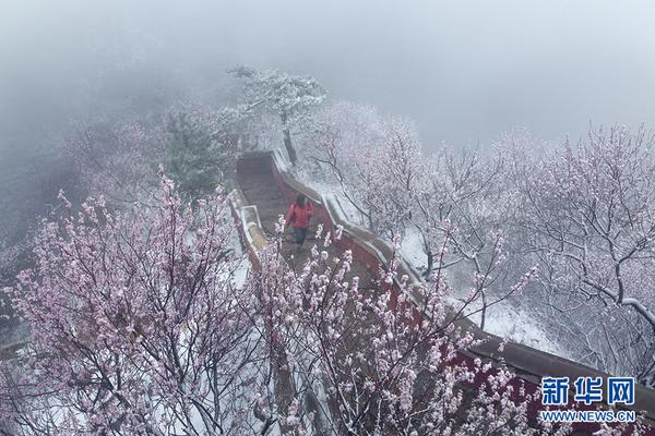 武汉代怀孕招聘应该从什么时候开始补钙