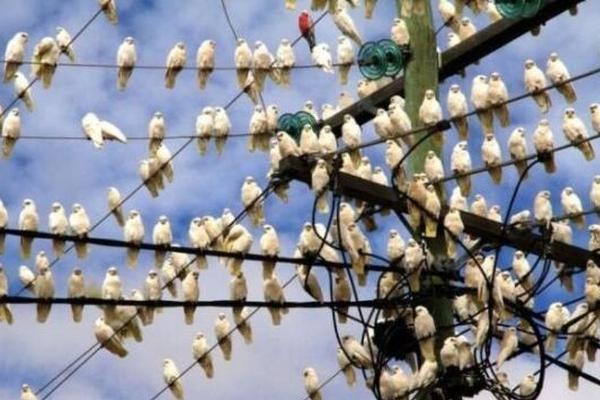  智能时代：现场看球 最新如何玩转高科技设备？