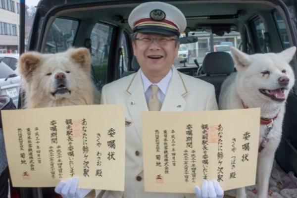“退市新规”后首个年报季将至 “拉名单”仅起到参考和预警作用 并不意味着最终结果