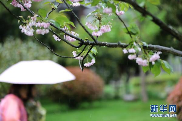 mc子龍是什么梗 