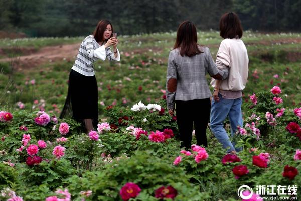 季节交替当心脾胃不和