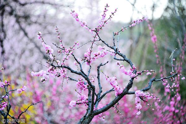 泰安市哪有大保健的地方 _ 外汇换算器,泰安大保健一条街在哪里_