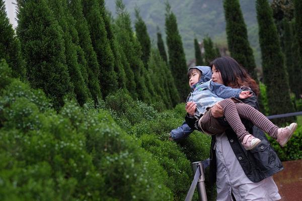 2025年精准四不像正版图库全面释义、解释与落实