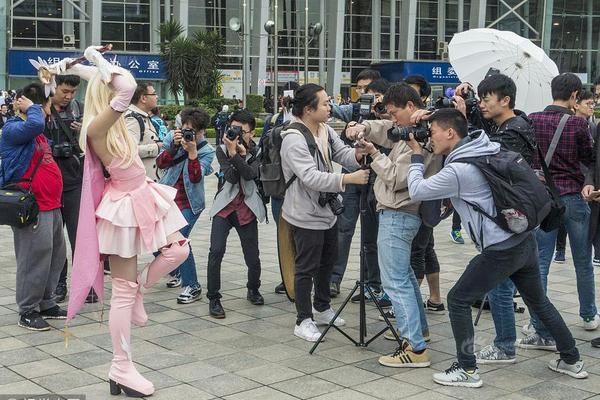 高级娼妓，网络内容与剧情解析