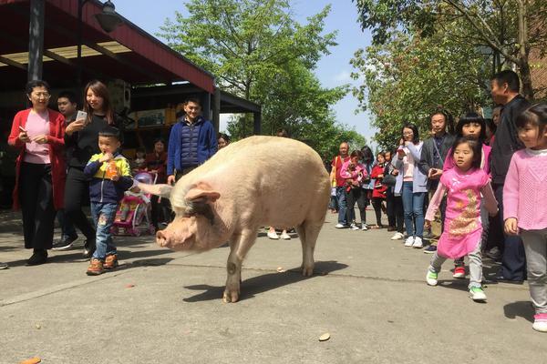 武汉助孕生子医院,孕妇如何预防得痔疮